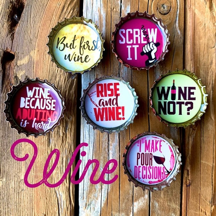 Wine Not? Wine Lover Magnet Pack - Momma's Secret Cupboard